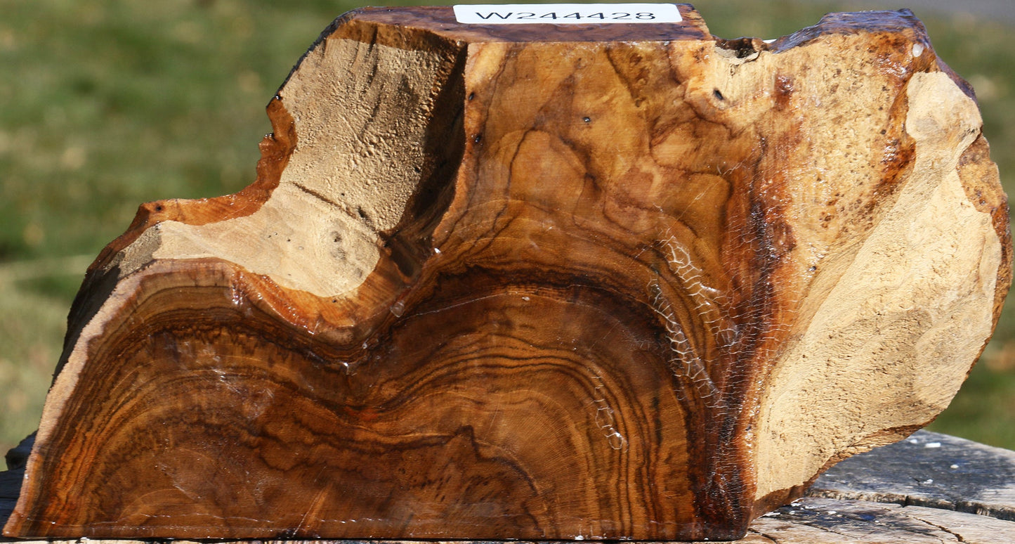 Extra Fancy Teak Live Edge Turning Blank