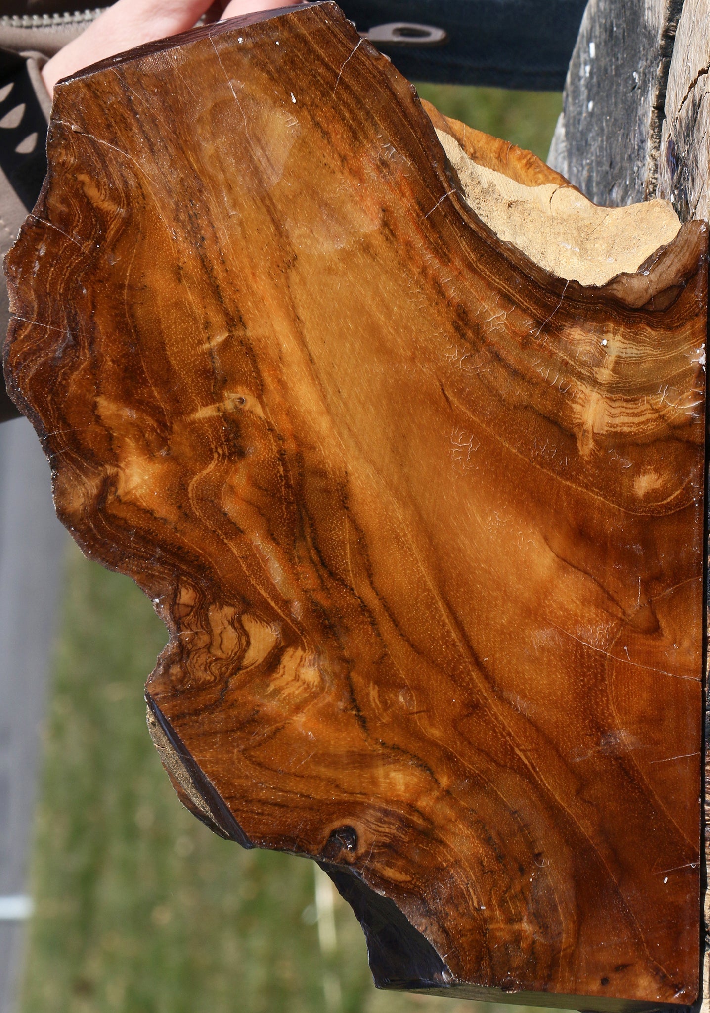 Extra Fancy Teak Live Edge Turning Blank