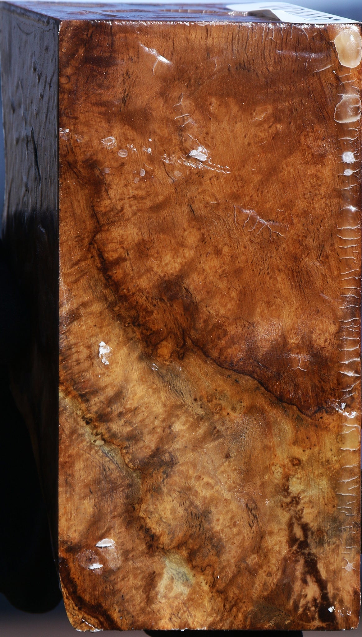Teak Burl Live Edge Turning Blank