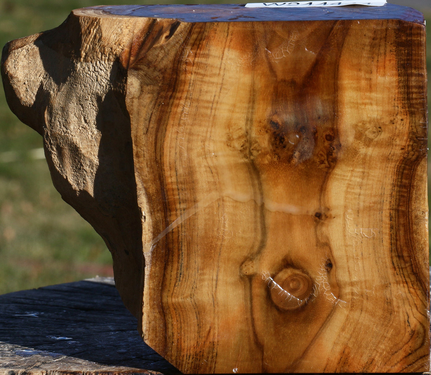 Extra Fancy Teak Live Edge Turning Blank