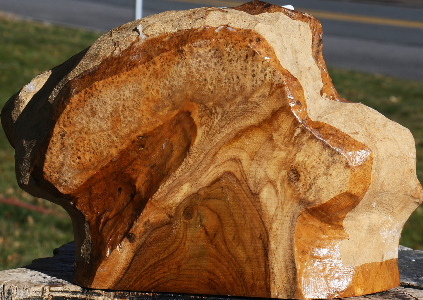 Teak Burl Live Edge Turning Blank