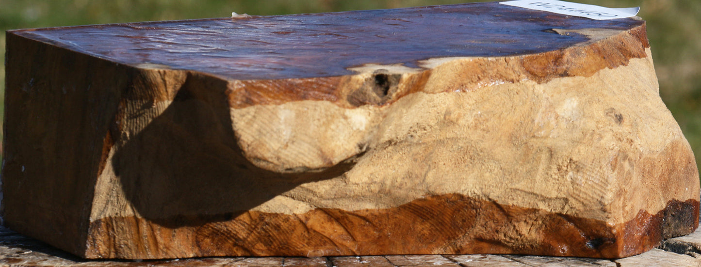 Extra Fancy Teak Live Edge Turning Blank