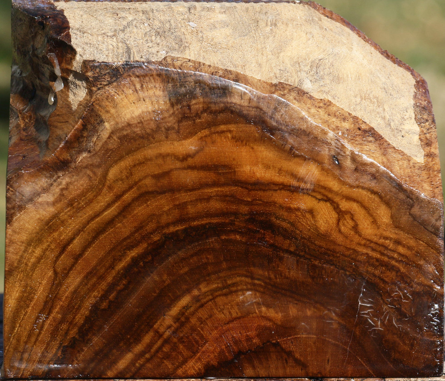 Figured Teak Live Edge Bowl Blank