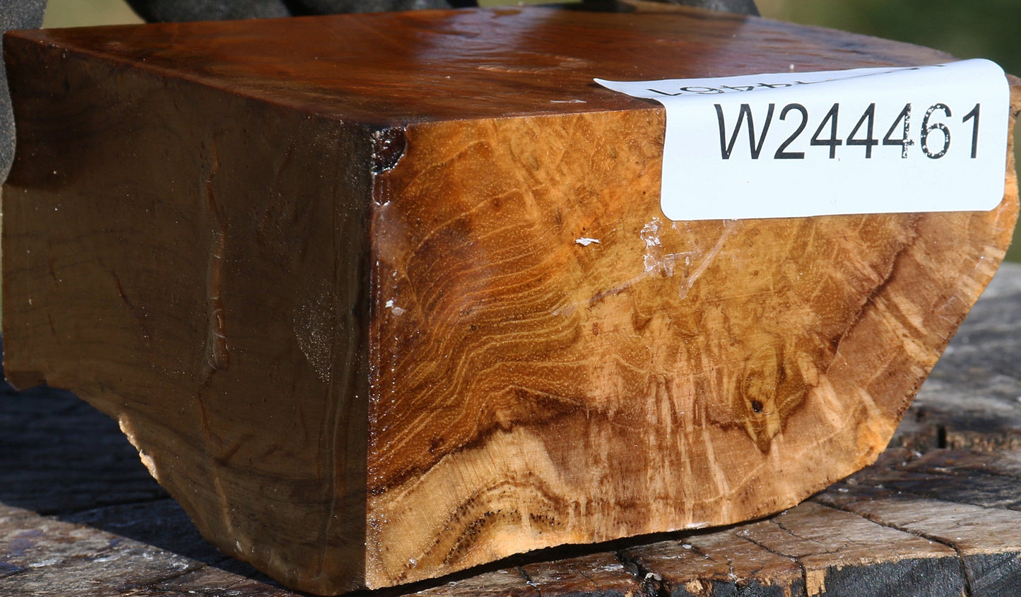 Extra Fancy Teak Live Edge Bowl Blank