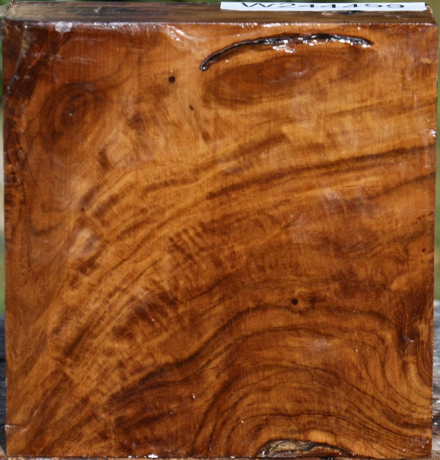 Extra Fancy Teak Bowl Blank