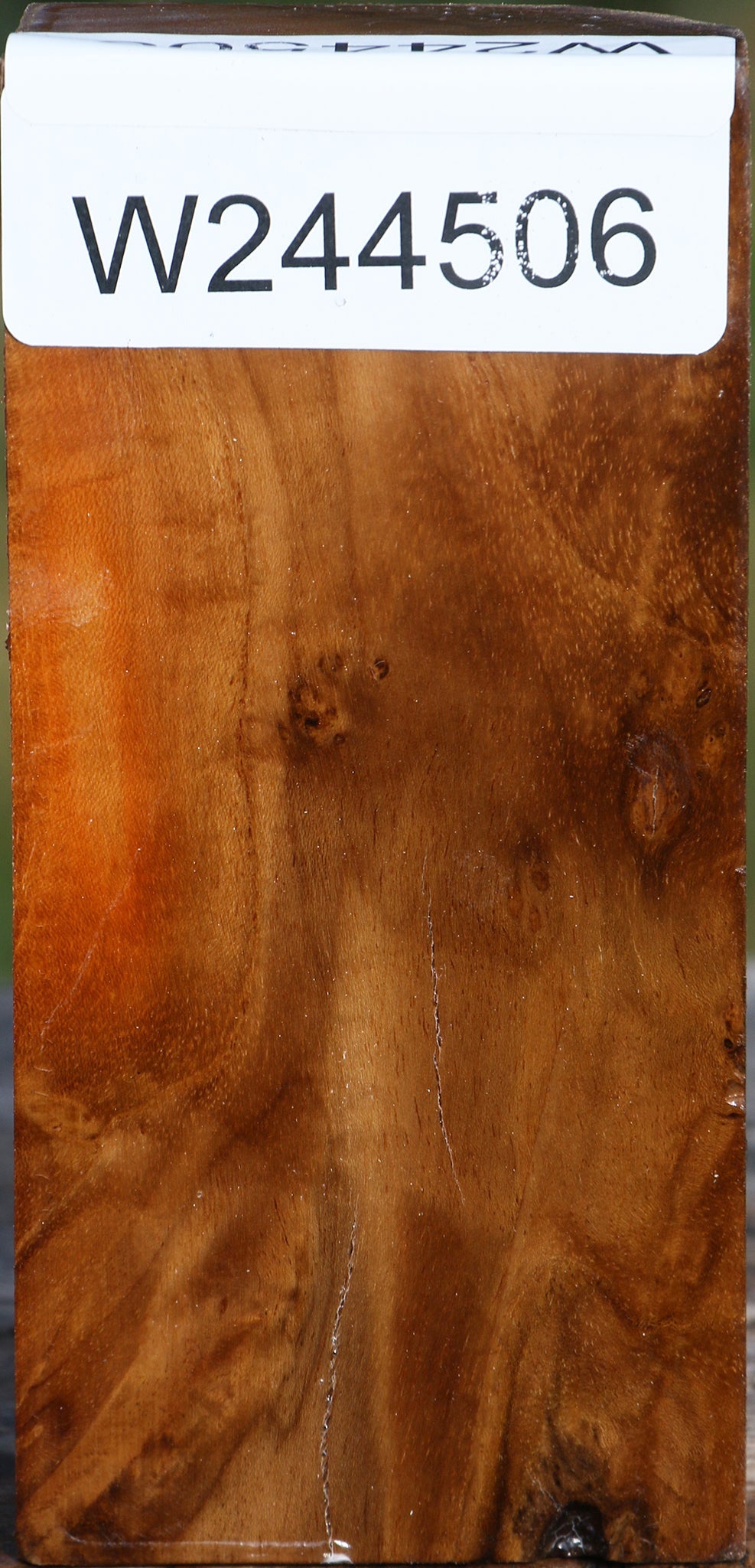 Teak Burl Turning Blank