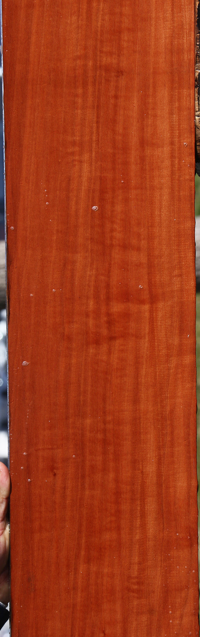 Figured Makore Lumber