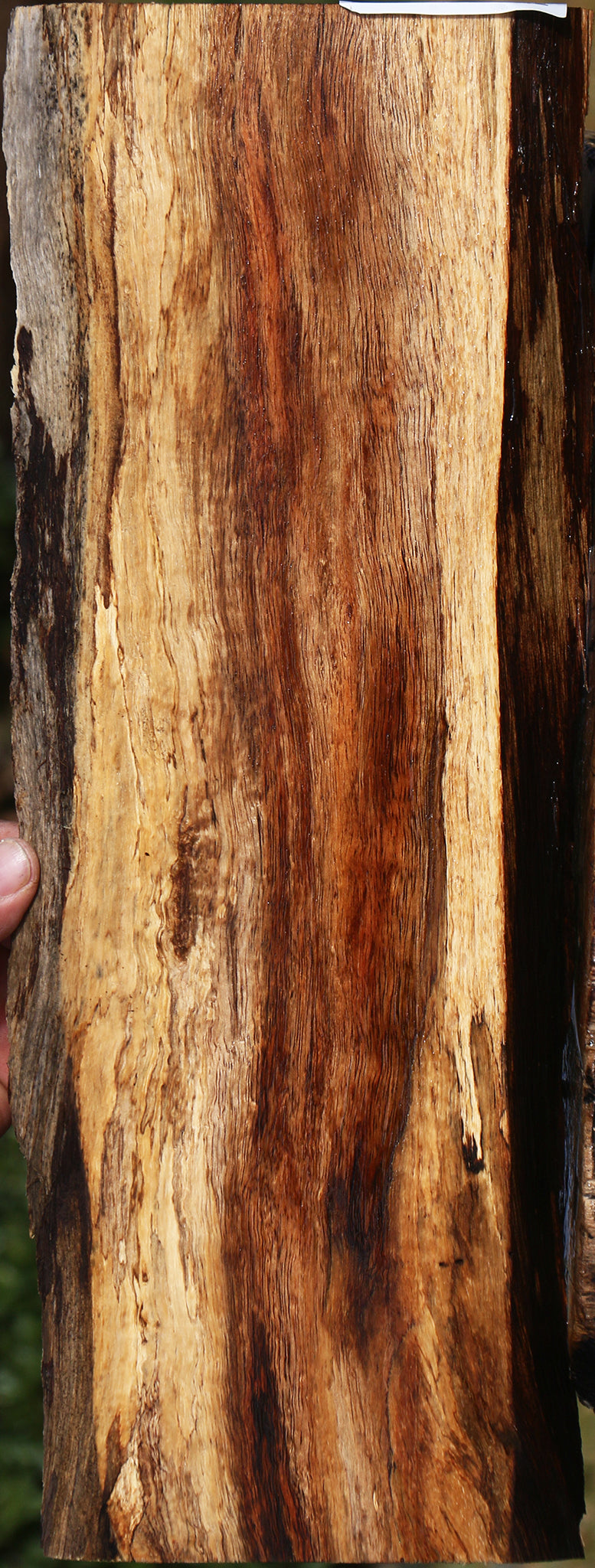 Hawaiian Koa Live Edge Micro Lumber