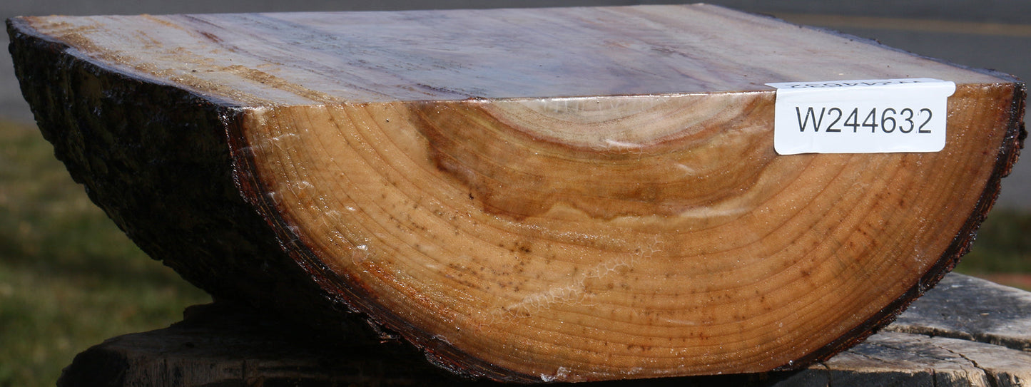 Figured Camphor Live Edge Bowl Blank