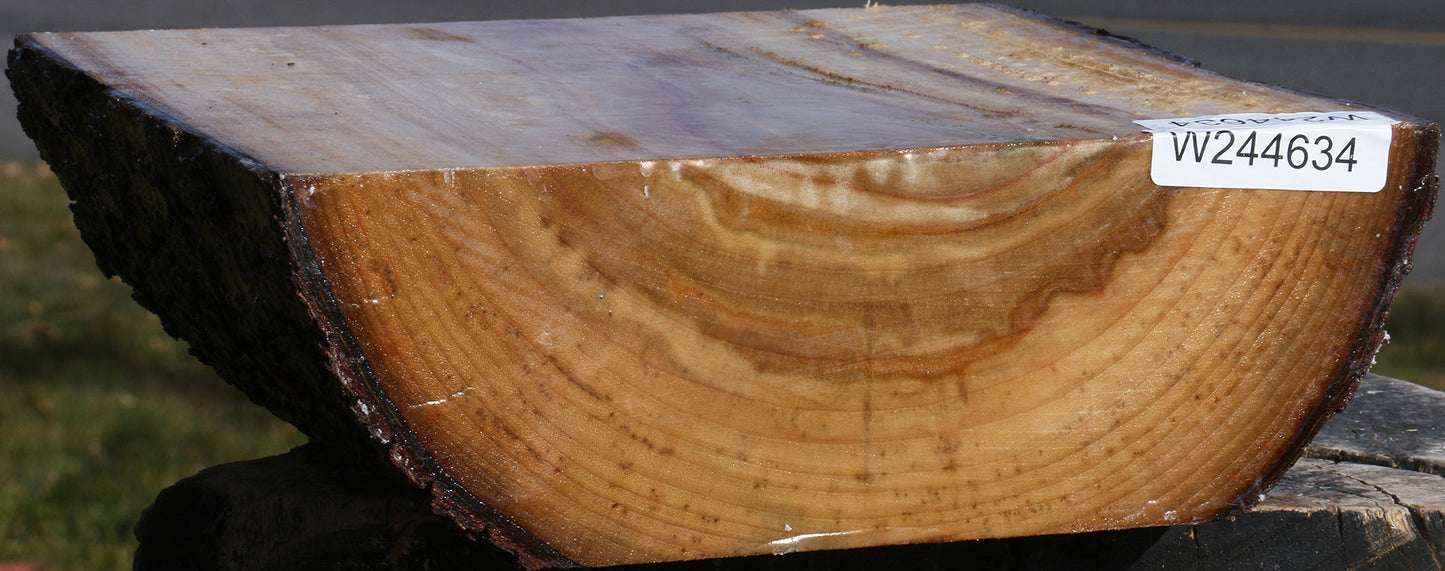 Figured Camphor Live Edge Bowl Blank