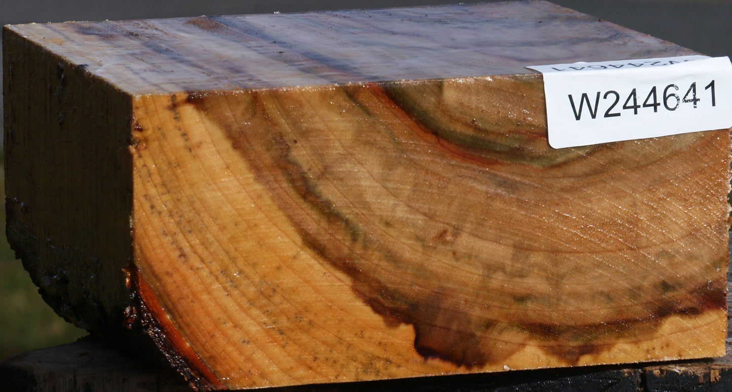 Figured Camphor Bowl Blank