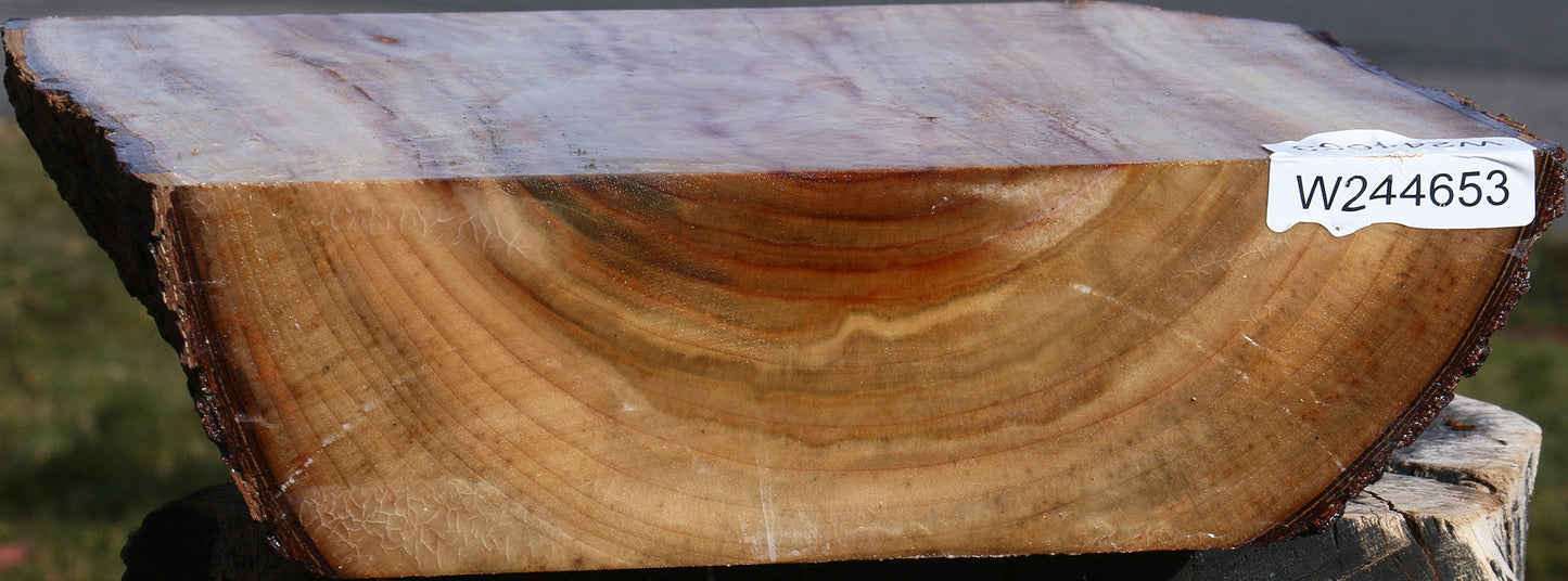 Figured Camphor Live Edge Bowl Blank
