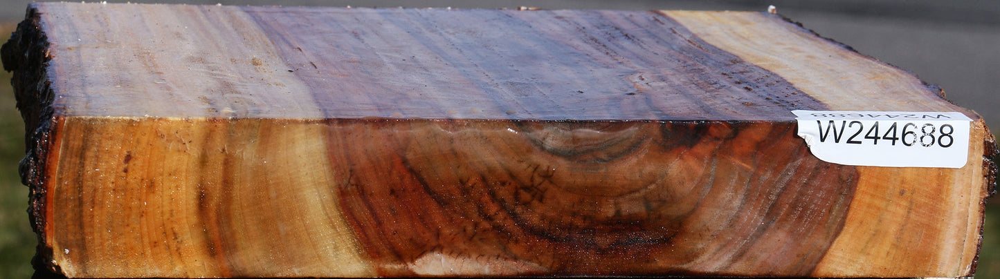 Figured Camphor Live Edge Platter Blank