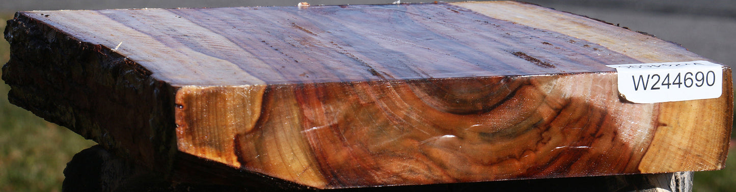 Extra Fancy Camphor Live Edge Platter Blank