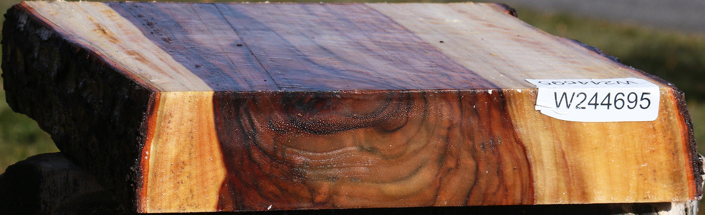 Extra Fancy Camphor Live Edge Platter Blank