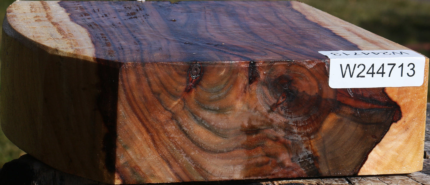 Extra Fancy Camphor Bowl Blank