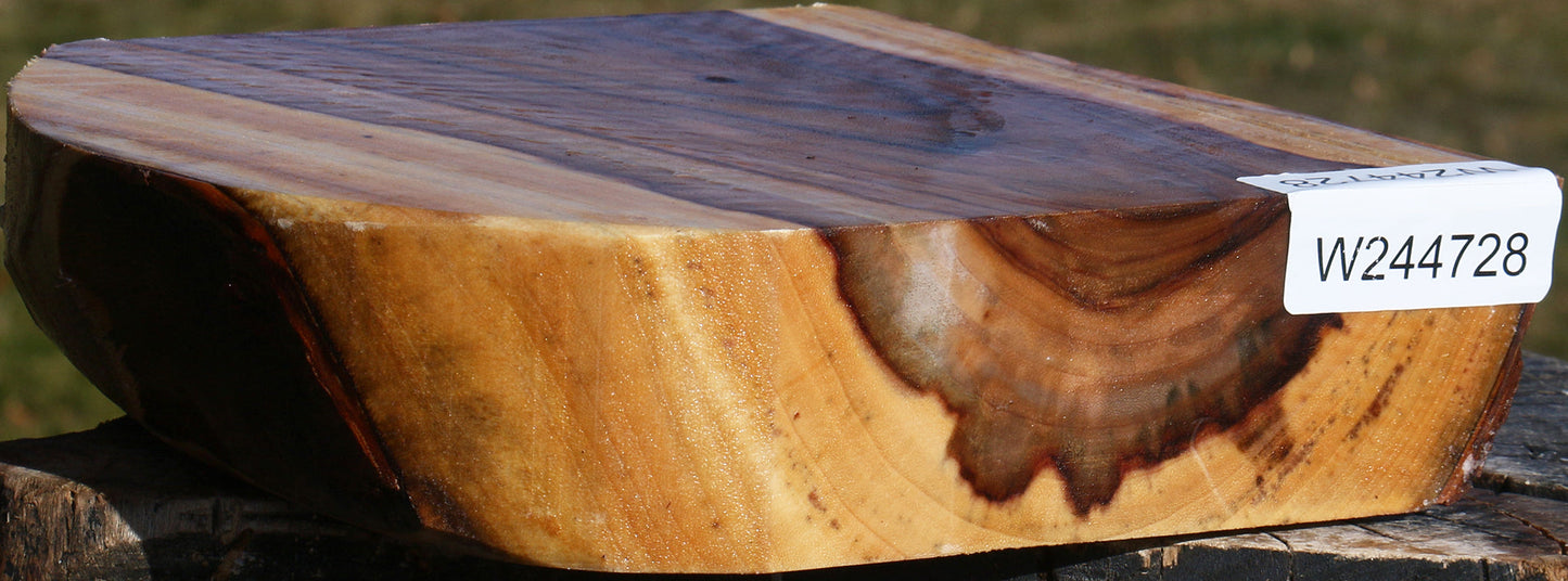 Extra Fancy Camphor Live Edge Bowl Blank