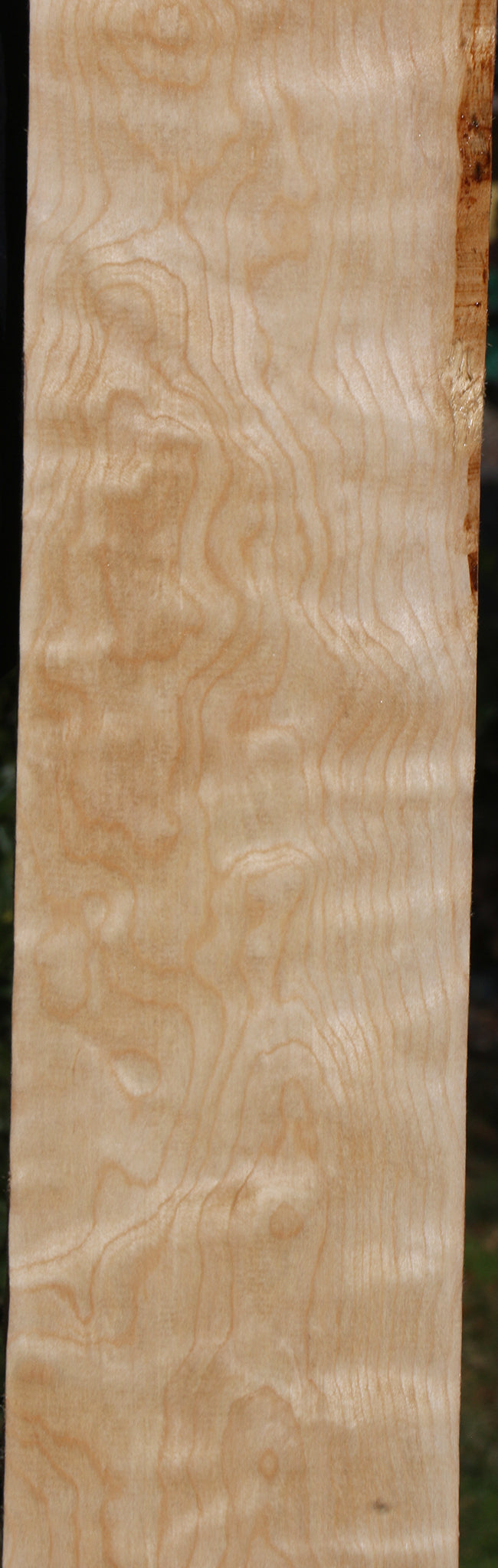 Curly Birch Lumber