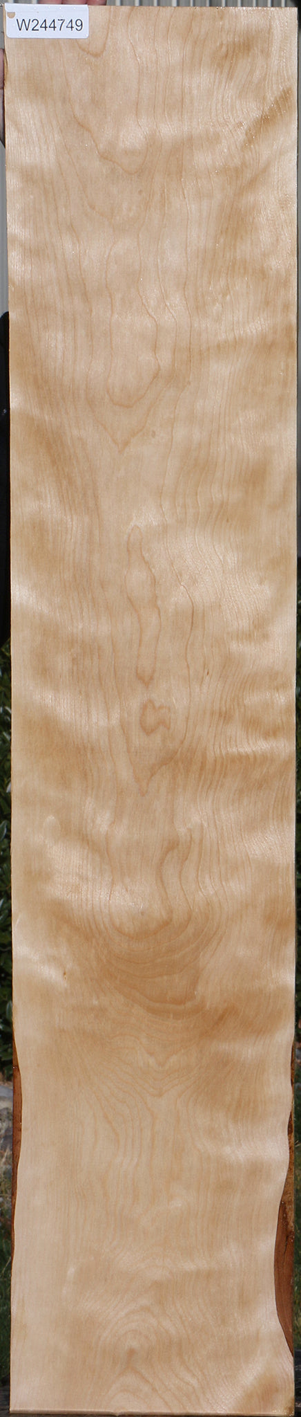 Curly Birch Lumber