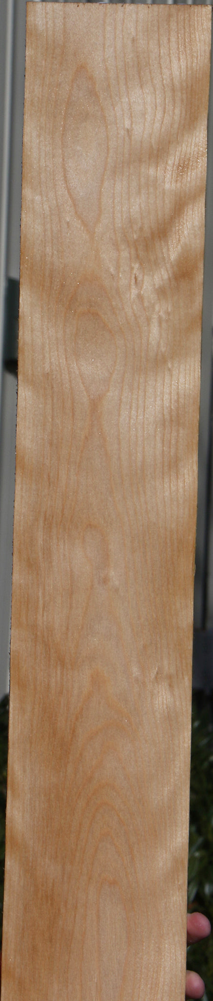 Curly Birch Lumber