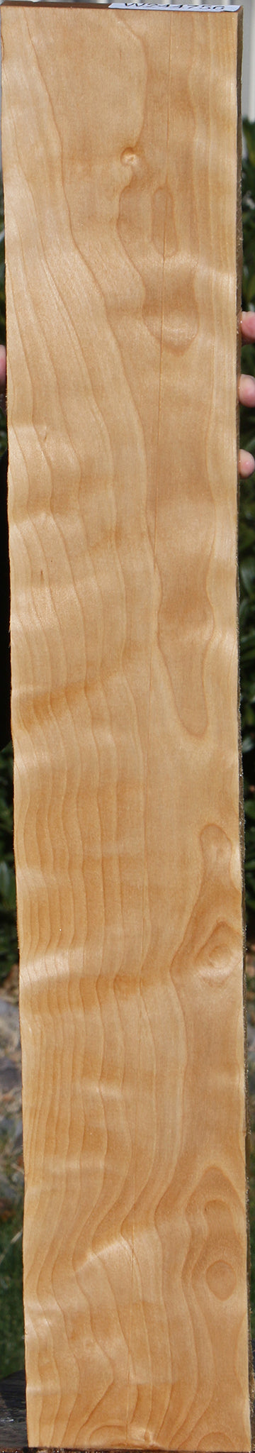 Curly Birch Lumber
