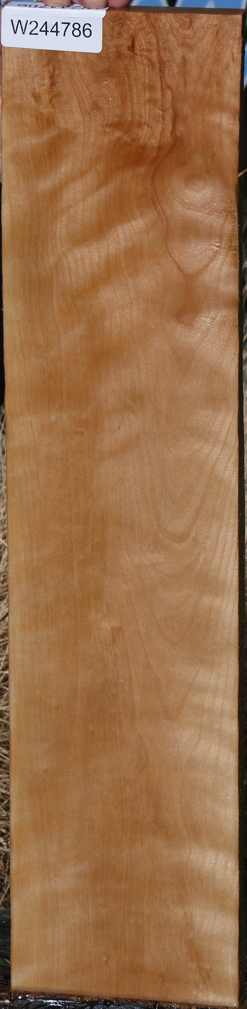 Curly Birch Lumber