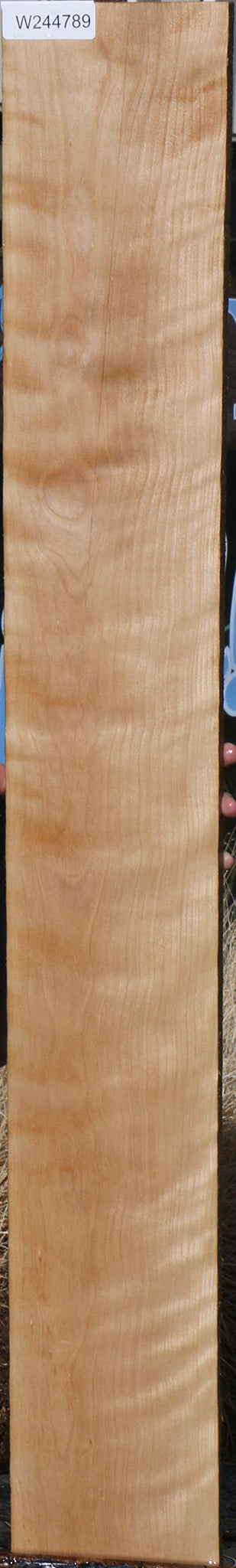 Curly Birch Lumber