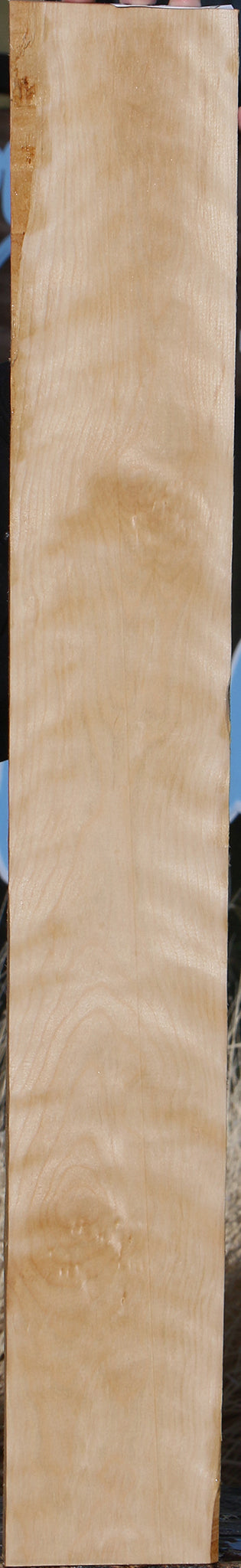 Curly Birch Lumber
