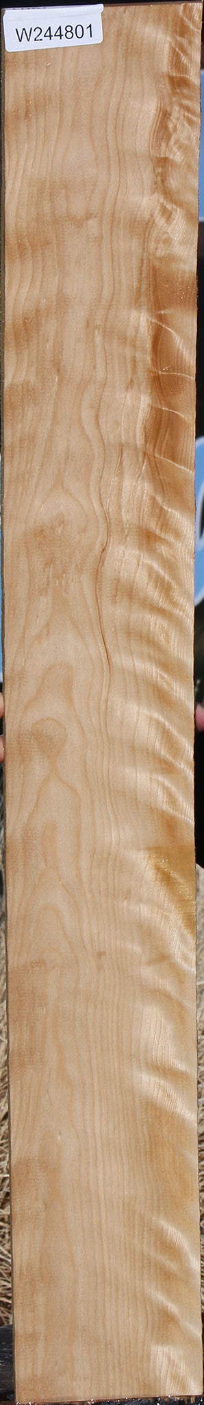 Curly Birch Lumber