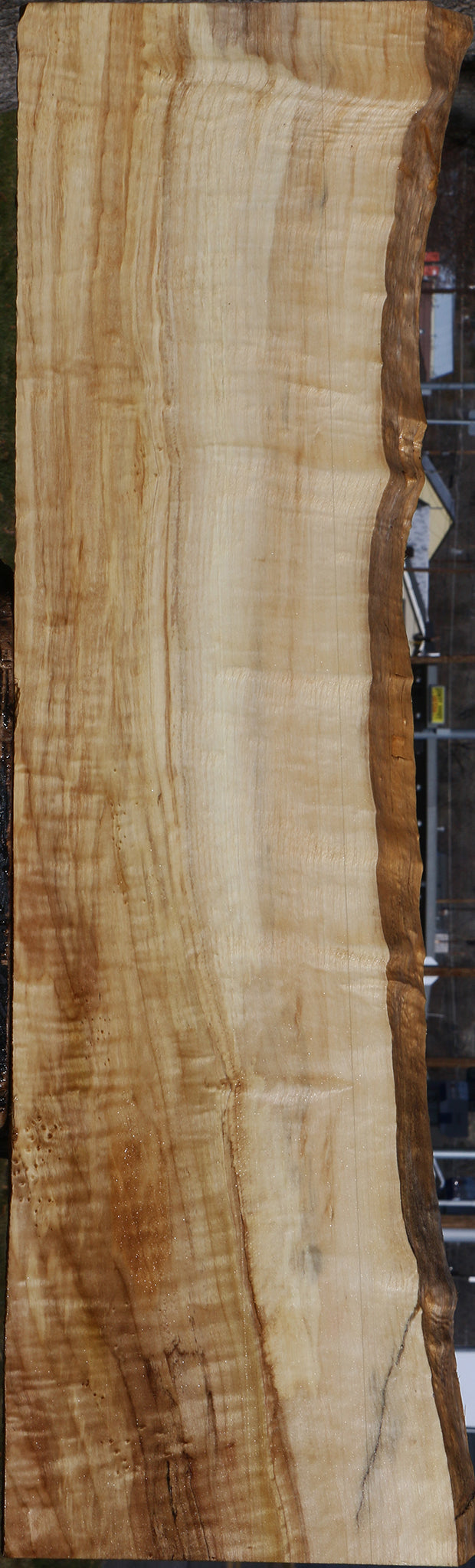 Figured Black Cottonwood Live Edge Lumber