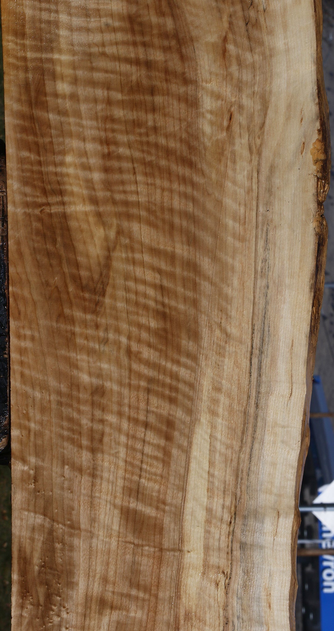 Extra Fancy Rustic Black Cottonwood Live Edge Lumber