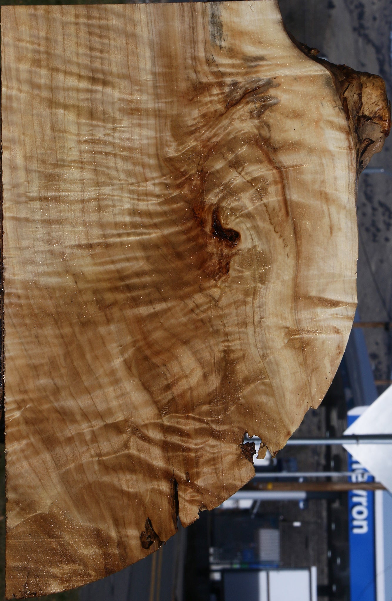 Extra Fancy Rustic Black Cottonwood Live Edge Lumber