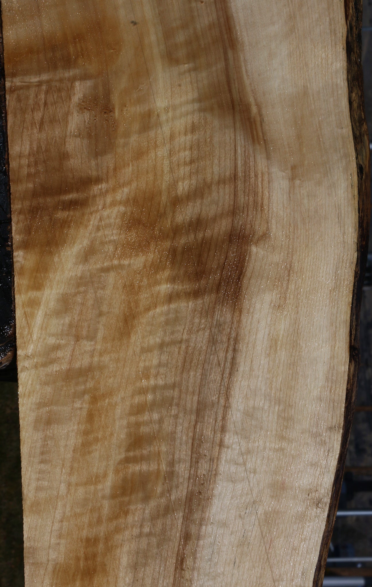 Figured Black Cottonwood Live Edge Lumber
