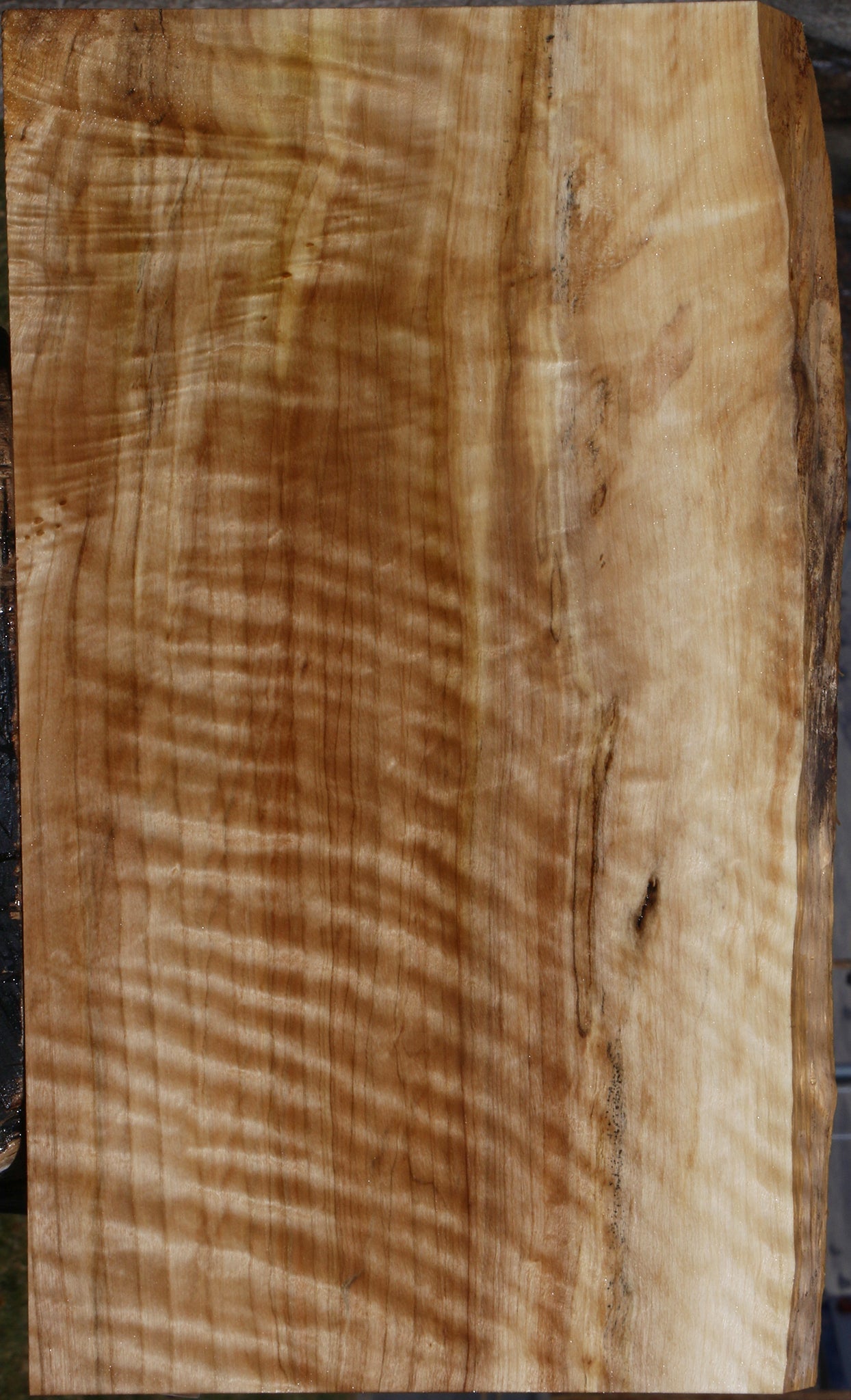 Figured Black Cottonwood Live Edge Lumber