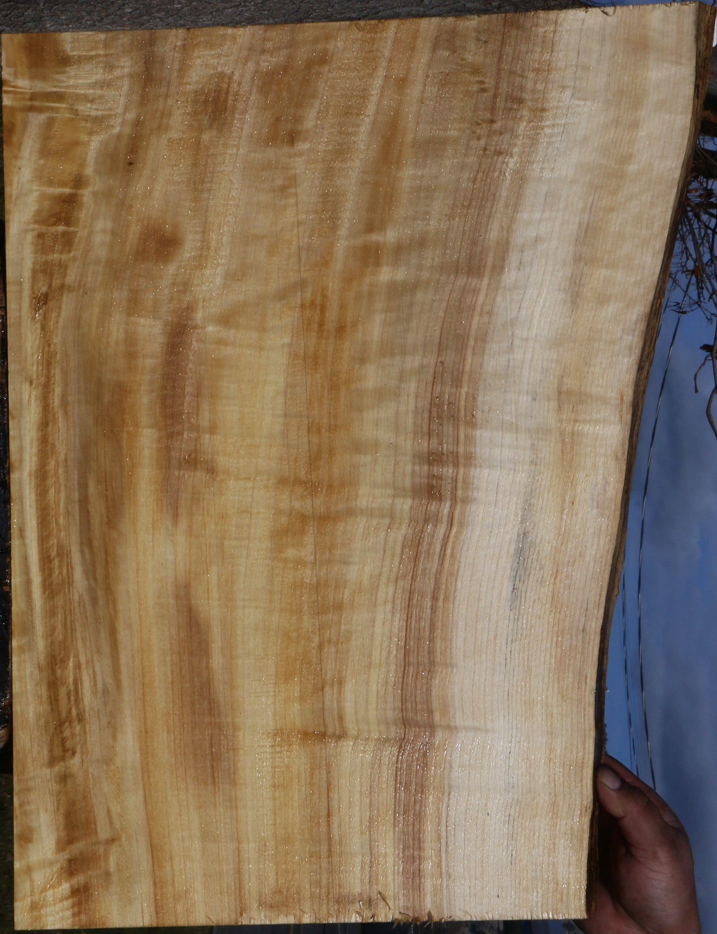 Figured Black Cottonwood Live Edge Lumber