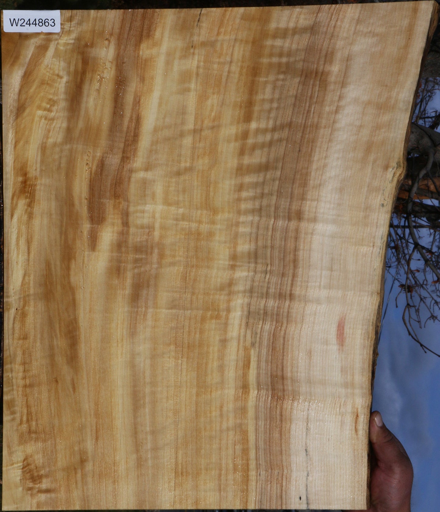 Extra Fancy Black Cottonwood Live Edge Lumber