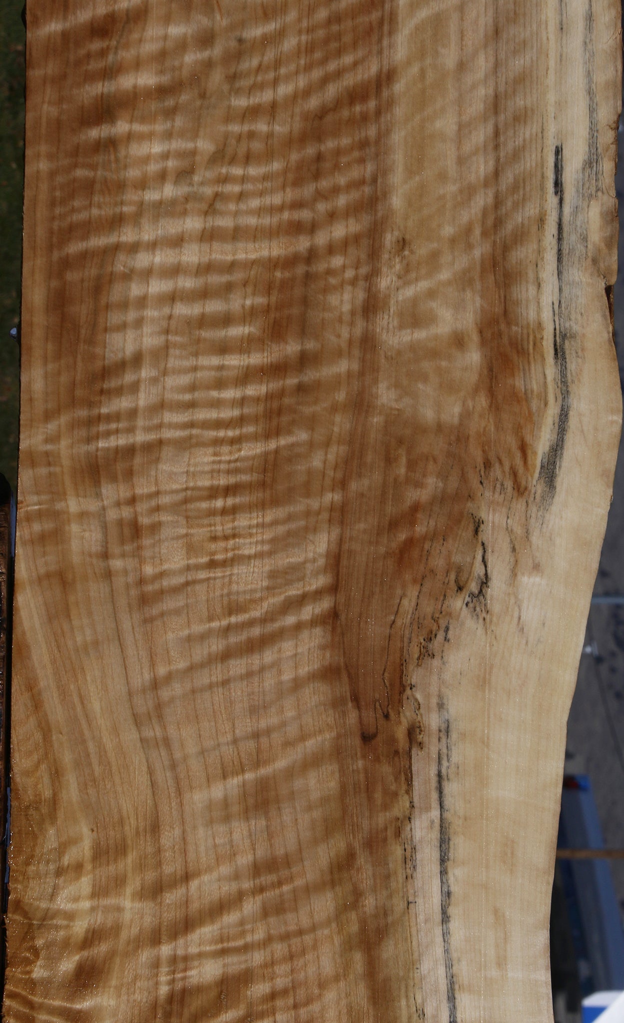 Extra Fancy Black Cottonwood Live Edge Lumber