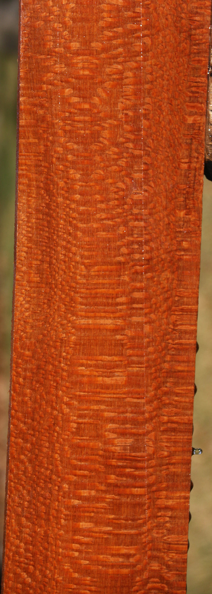 Extra Fancy Leopardwood Lumber