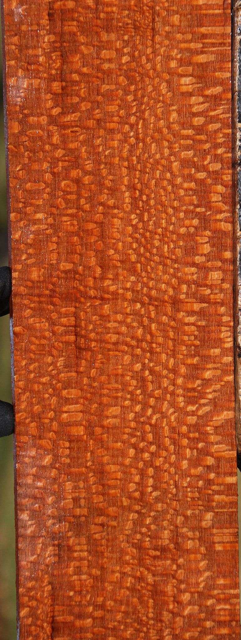 Extra Fancy Leopardwood Lumber