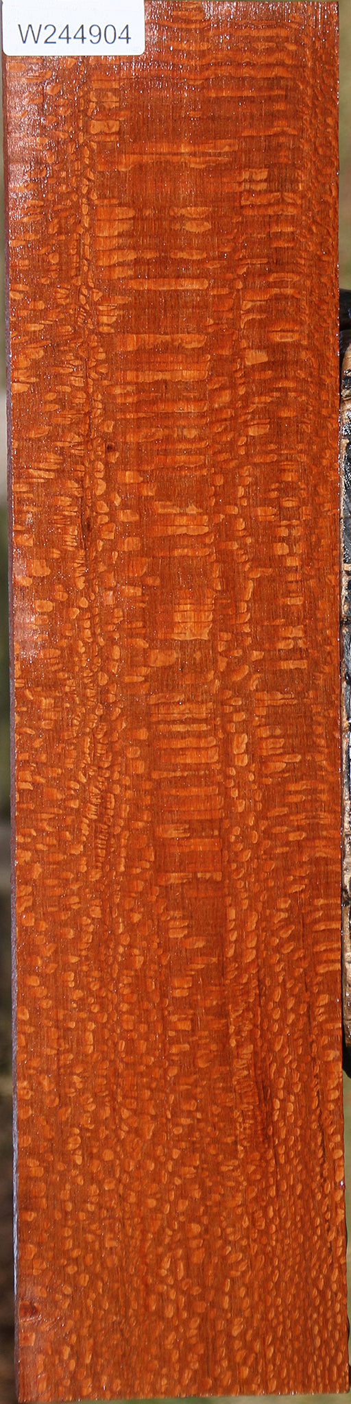 Extra Fancy Leopardwood Lumber