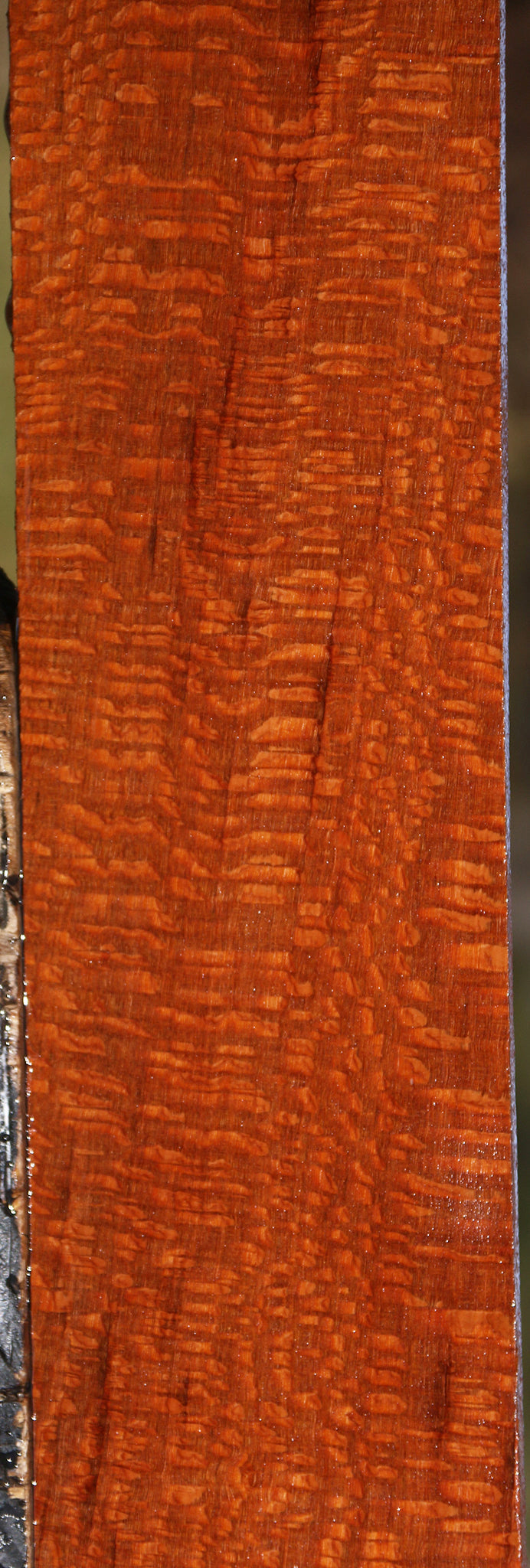 Extra Fancy Leopardwood Lumber