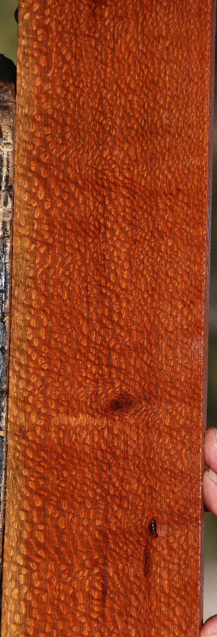 Extra Fancy Leopardwood Lumber