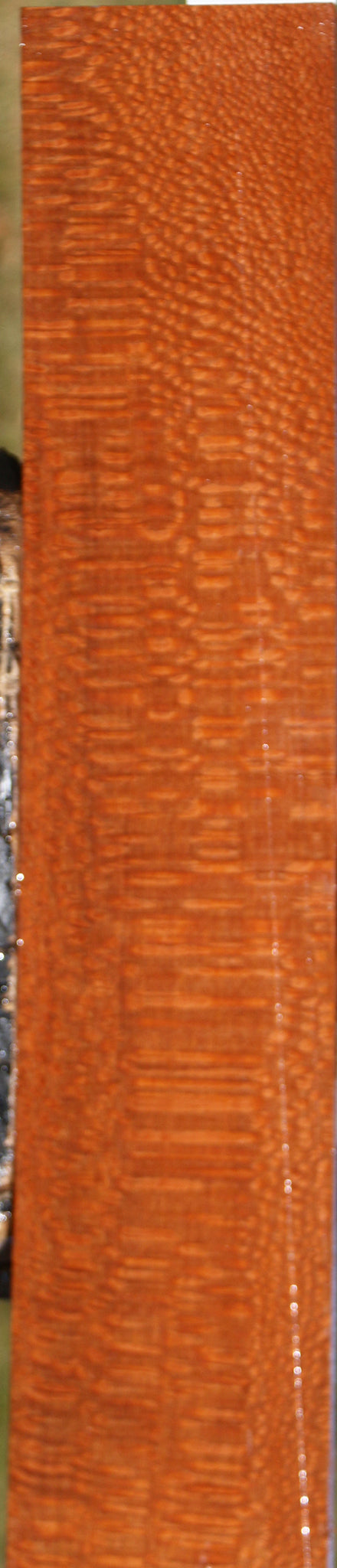 Extra Fancy Leopardwood Lumber