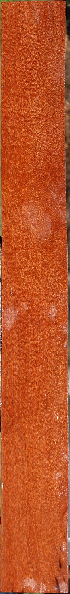 Leopardwood Lumber