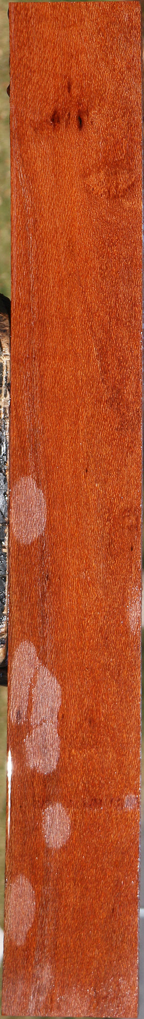 Leopardwood Lumber