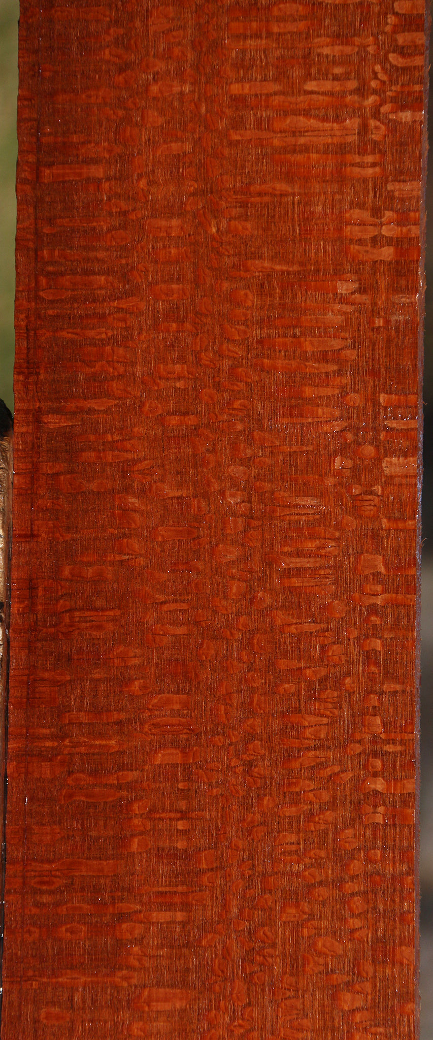 Extra Fancy Leopardwood Lumber