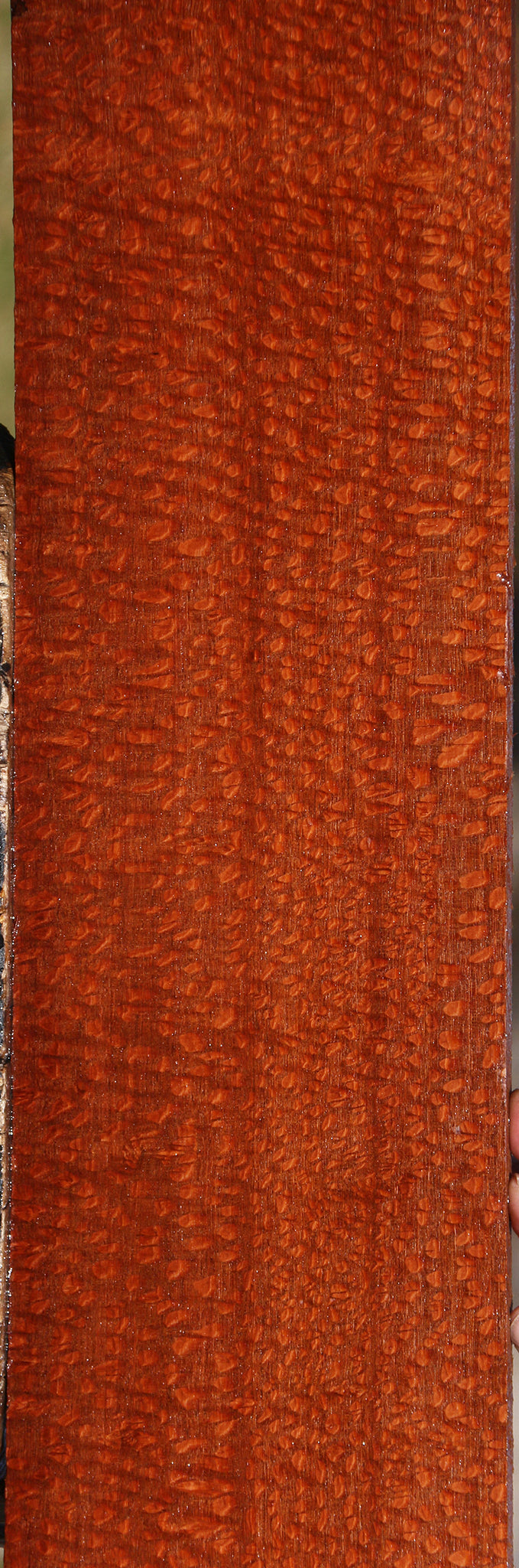 Extra Fancy Leopardwood Lumber