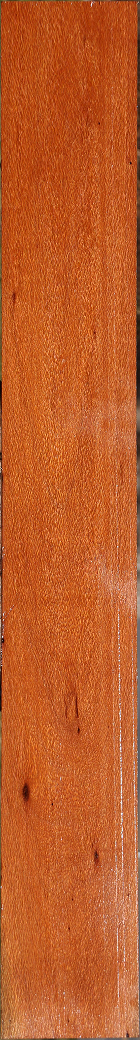 Leopardwood Lumber