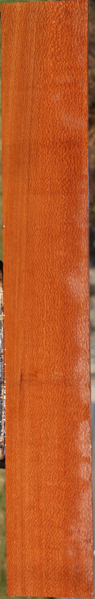 Figured Leopardwood Lumber