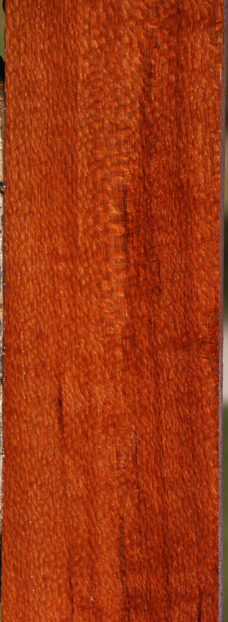 Extra Fancy Leopardwood Lumber
